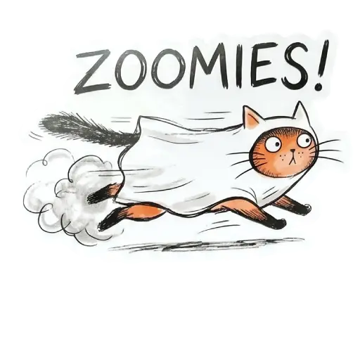 Stickers, social media, WhatsApp, funny, Halloween, free download, witch, funny , Halloween emojis smileys, Halloween cats, funny cat , (45)