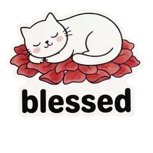 my love, cat, cat lover, romantic, love, cute, WhatsApp stickers, stickers, love message (18)